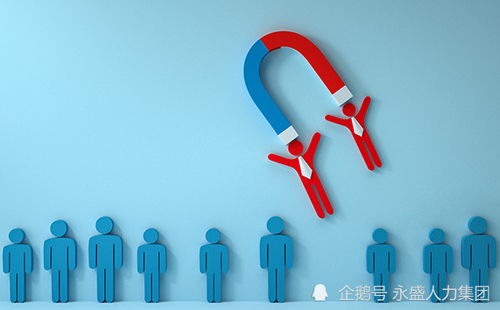 永盛人力集團小課堂 人力資源服務(wù)如何賦能企業(yè)高效發(fā)展